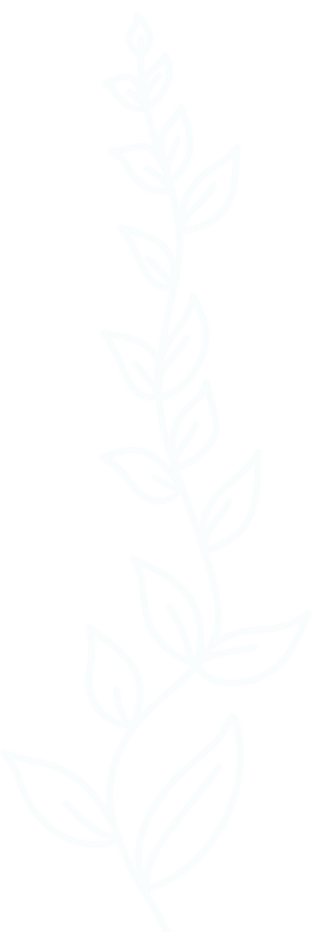 Leaf Vine Outline 